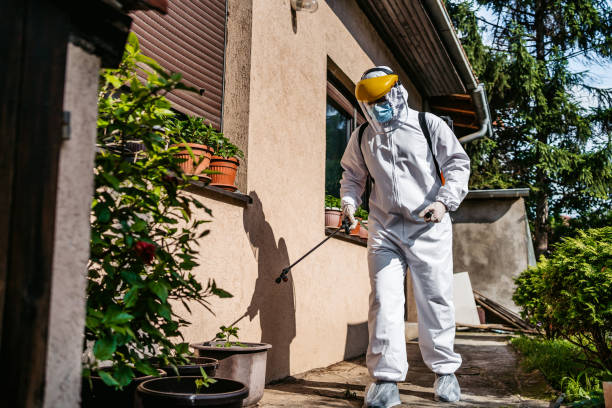 Best Pest Control Near Me  in Mount Vernon, IN