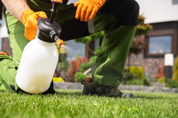 Best Cockroach Control Services  in Mount Vernon, IN