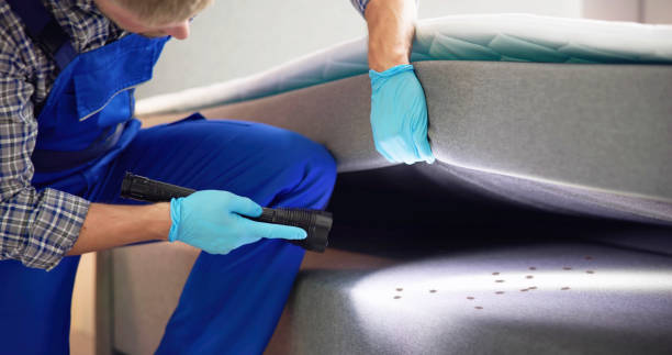 Professional Pest Control in Mount Vernon, IN