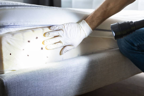 Pest Control Cost in Mount Vernon, IN