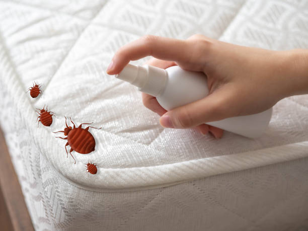 Professional Pest Control in Mount Vernon, IN