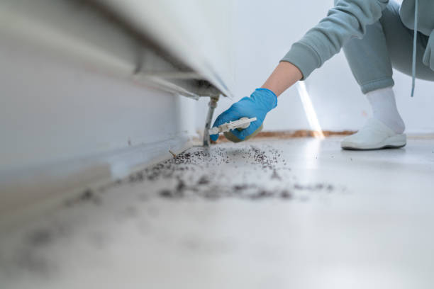 Best Wildlife Control Services  in Mount Vernon, IN